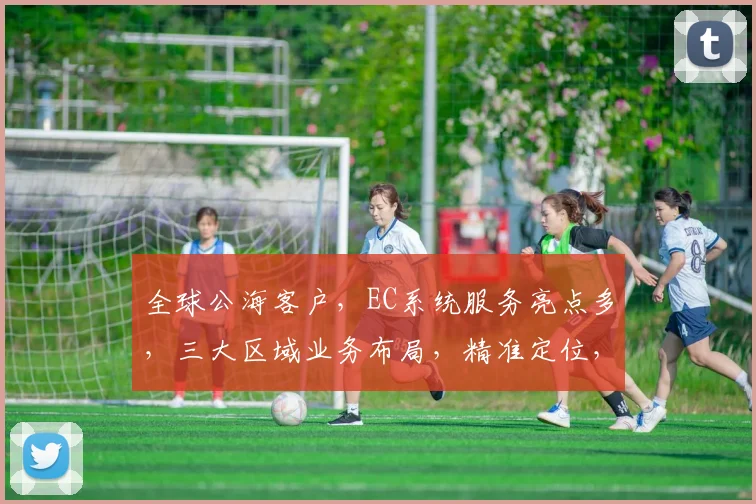 全球公海客户，EC系统服务亮点多，三大区域业务布局，精准定位，高效合作