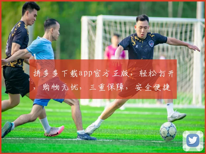 拼多多下载app官方正版，轻松打开，购物无忧，三重保障，安全便捷，体验非凡。